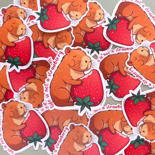A Vida Não É Um Morango Sticker