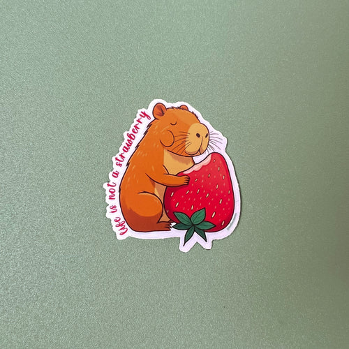 A Vida Não É Um Morango Sticker